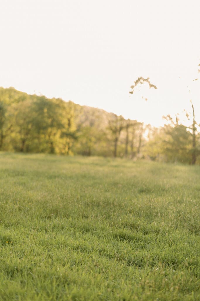 Ligonier Farm Engagement Session