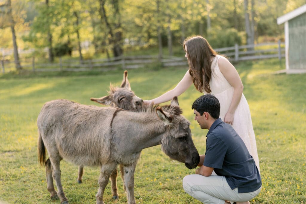 Ligonier Farm Engagement Session