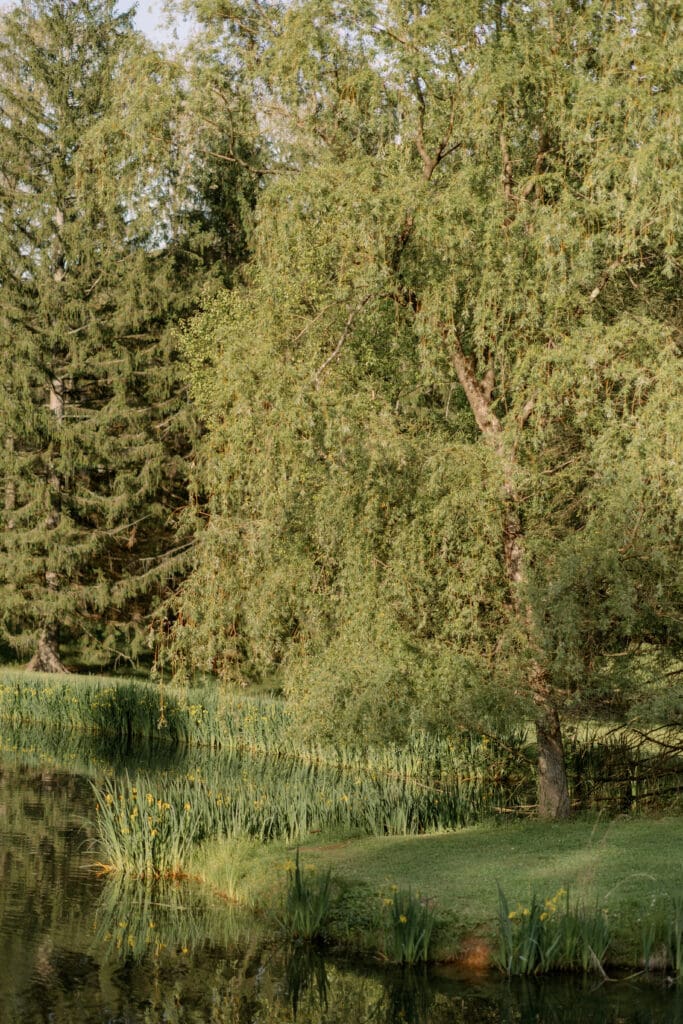 Ligonier Farm Engagement Session