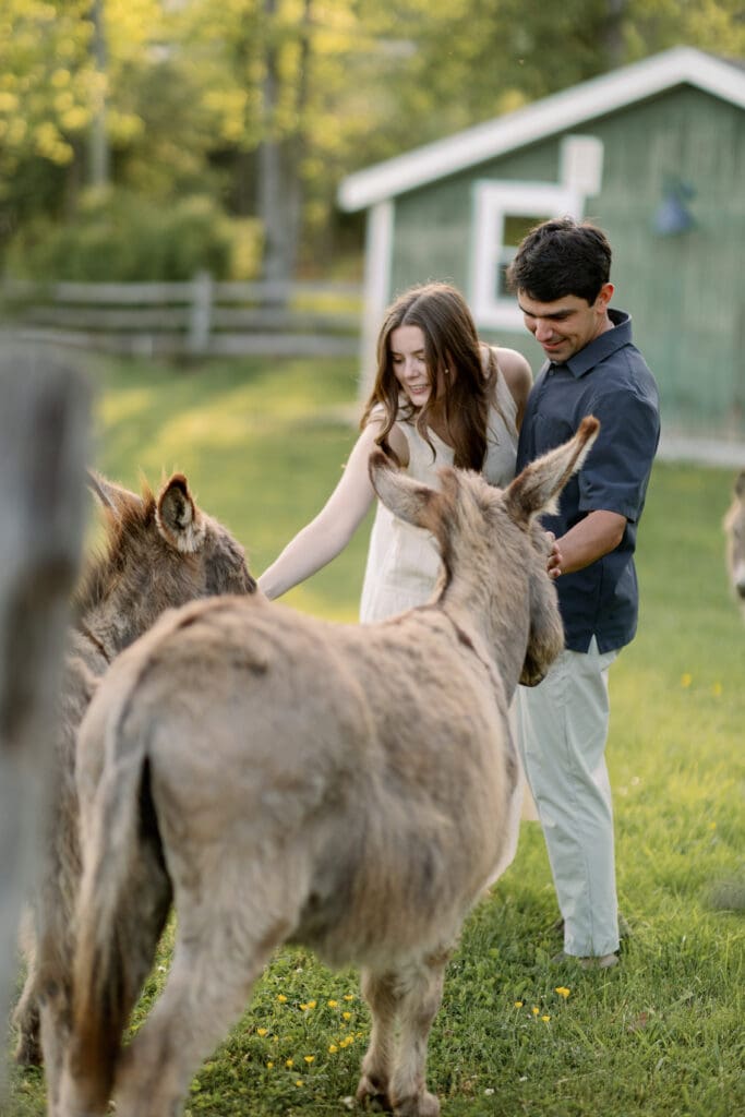 Ligonier Farm Engagement Session